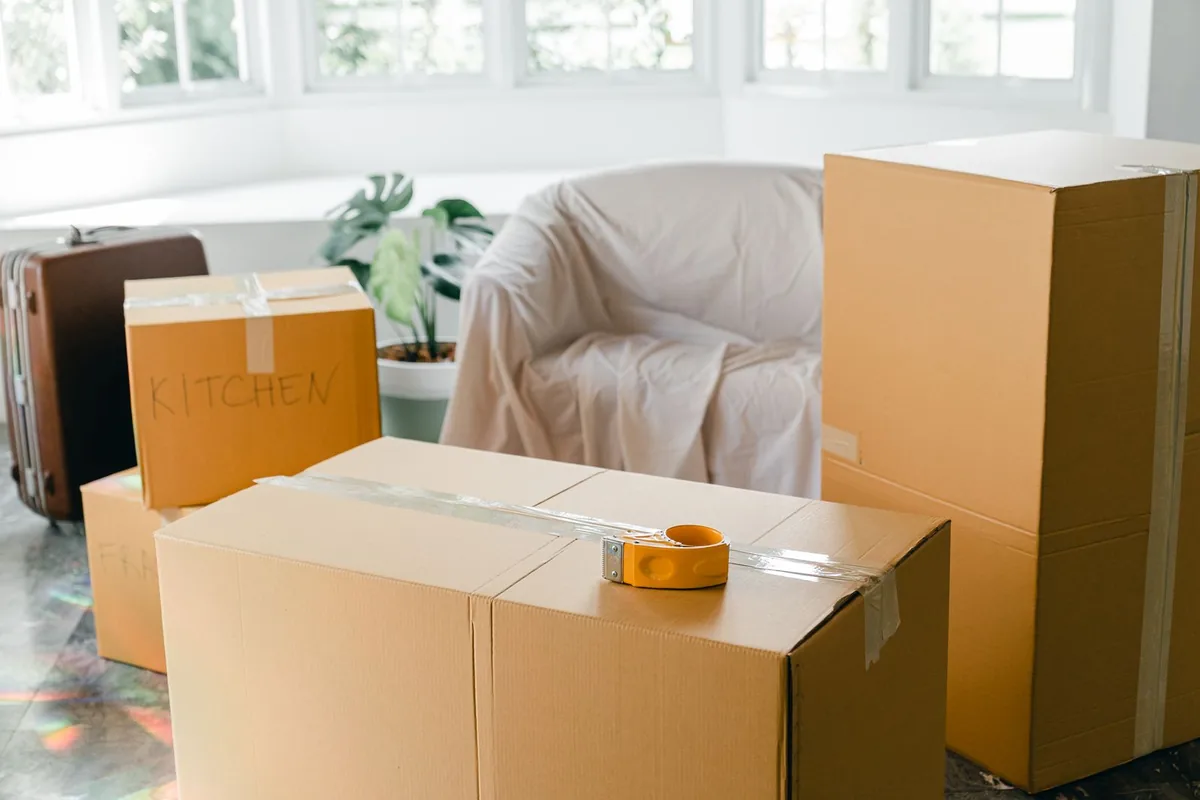 Hoarding Cleanup in Petersburg, MI